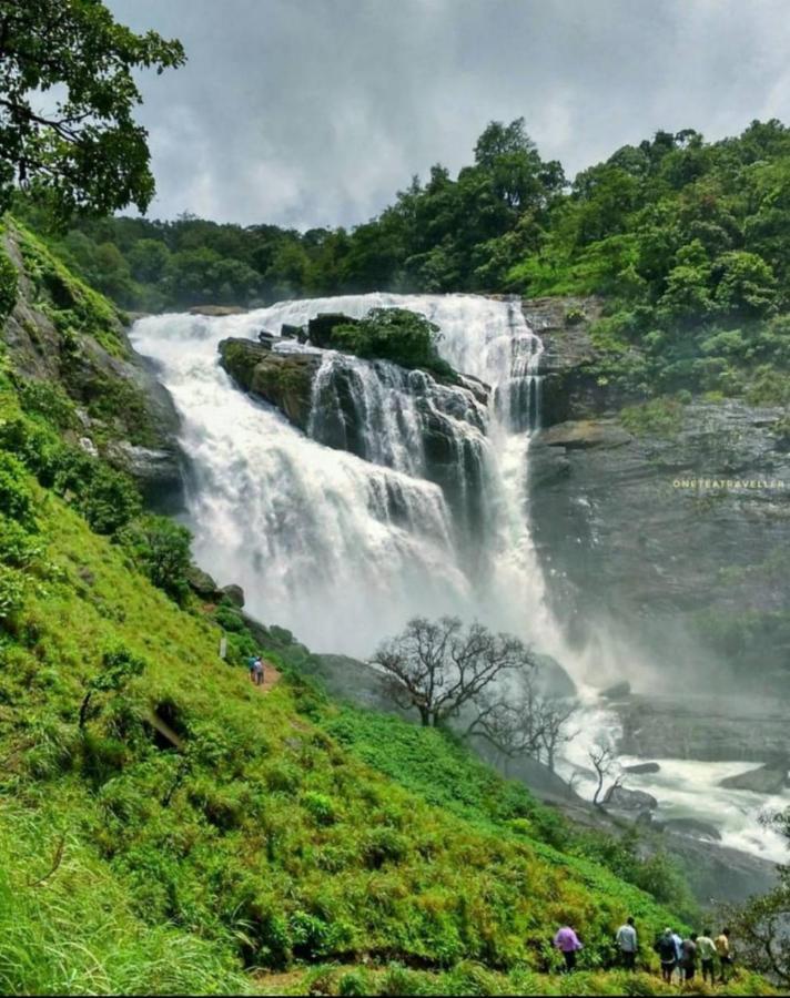 Coorg Coffee Park Farmstay Somvārpet Dış mekan fotoğraf
