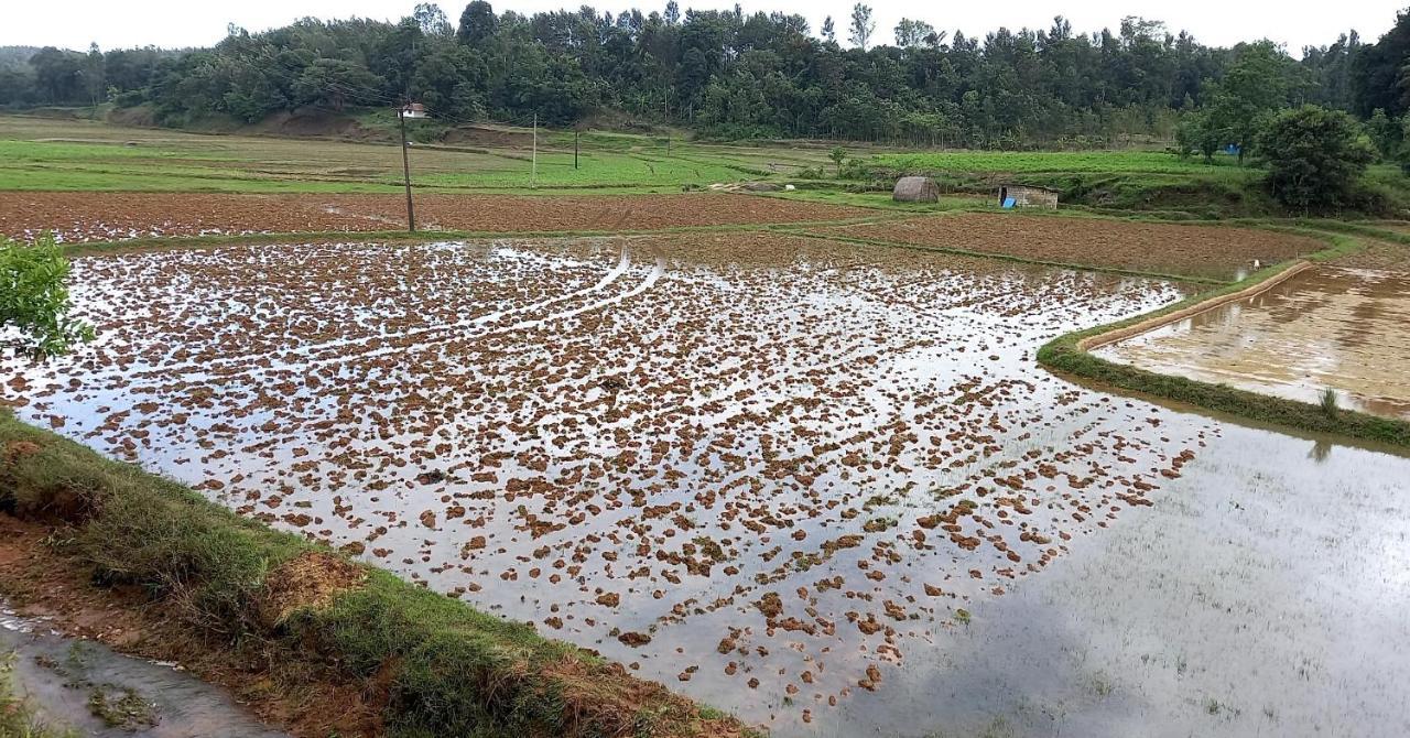 Coorg Coffee Park Farmstay Somvārpet Dış mekan fotoğraf