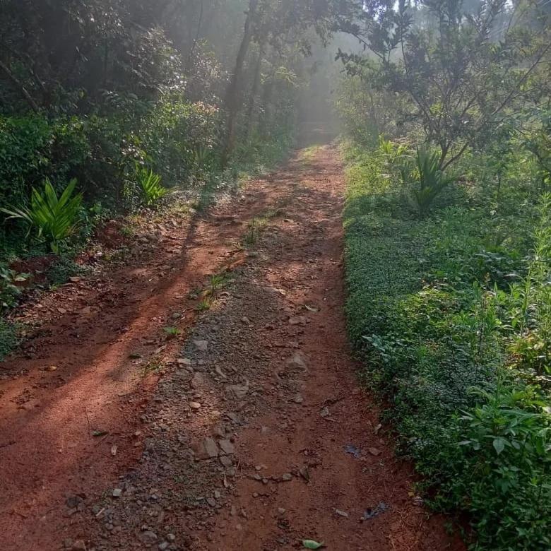 Coorg Coffee Park Farmstay Somvārpet Dış mekan fotoğraf