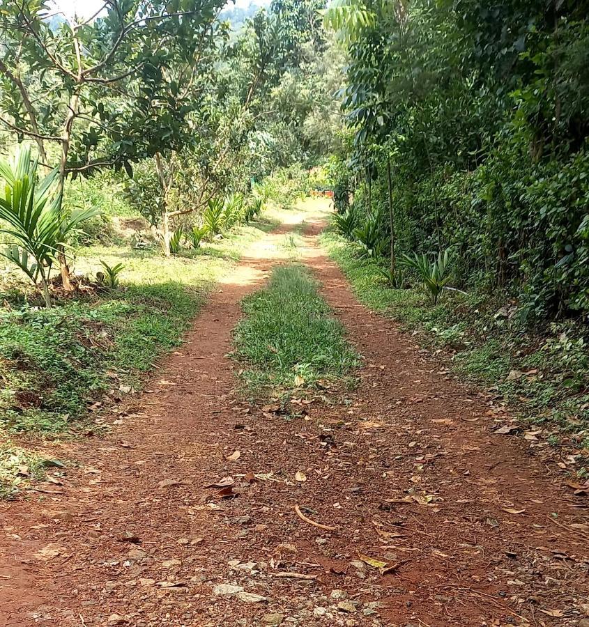 Coorg Coffee Park Farmstay Somvārpet Dış mekan fotoğraf