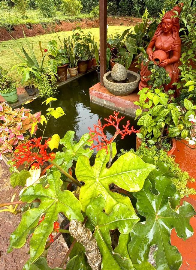 Coorg Coffee Park Farmstay Somvārpet Dış mekan fotoğraf