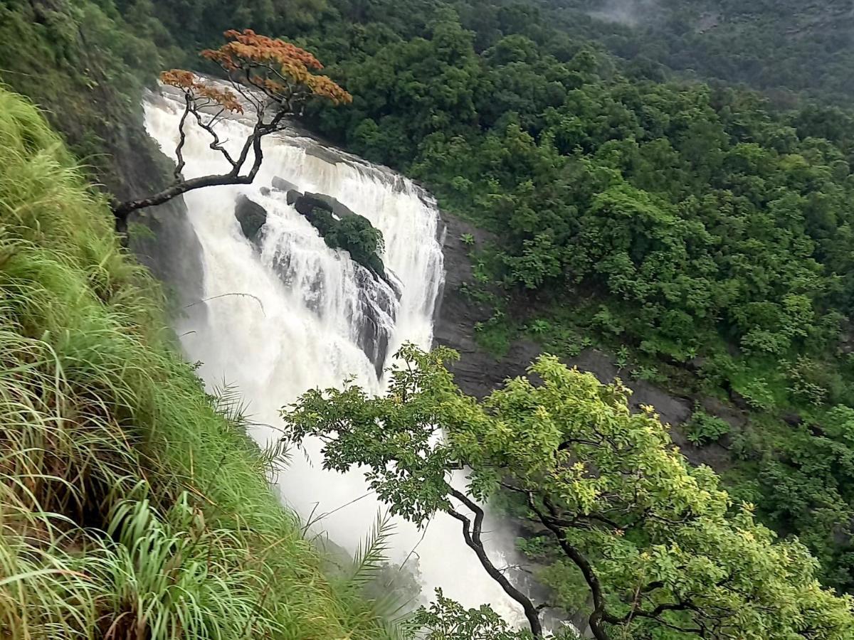 Coorg Coffee Park Farmstay Somvārpet Dış mekan fotoğraf