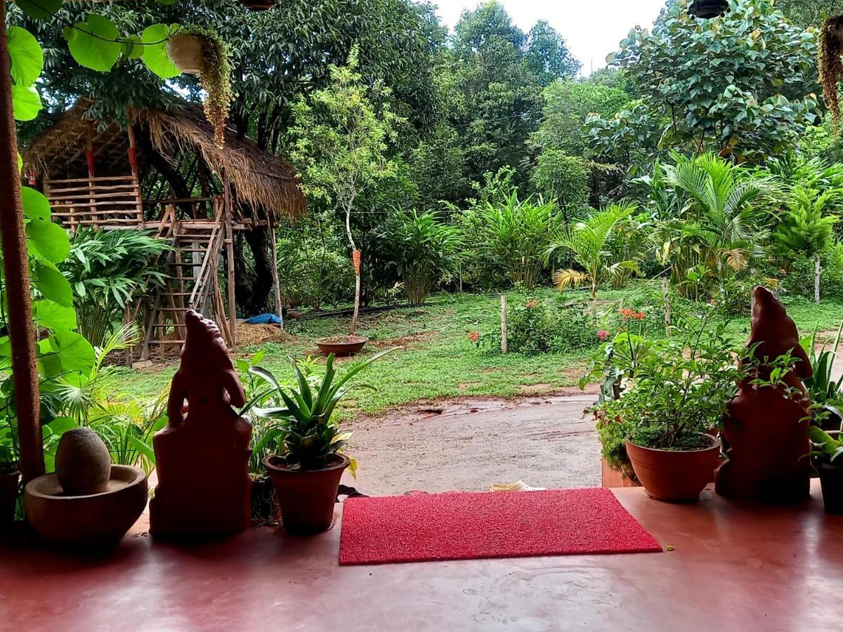 Coorg Coffee Park Farmstay Somvārpet Dış mekan fotoğraf