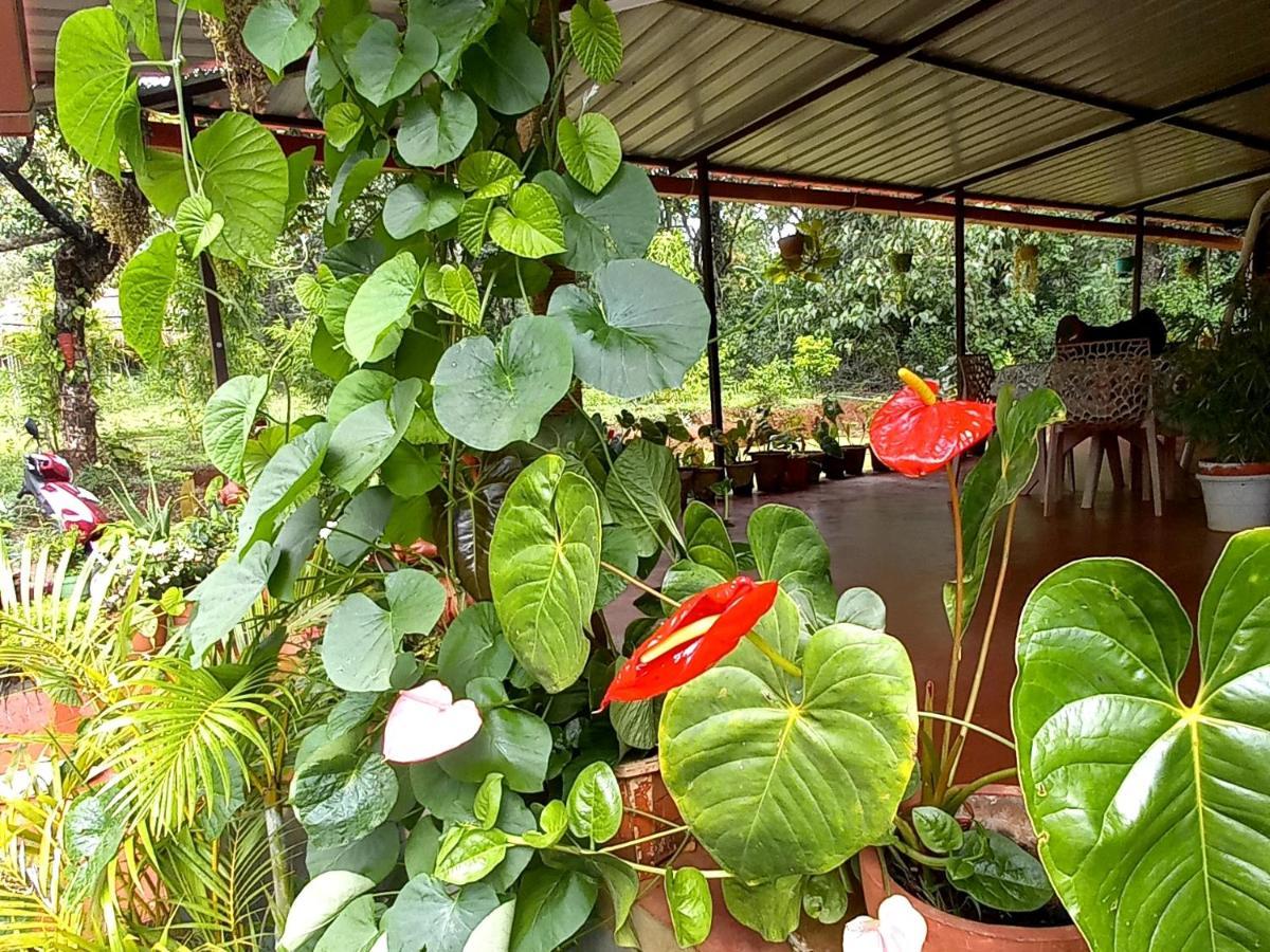 Coorg Coffee Park Farmstay Somvārpet Dış mekan fotoğraf