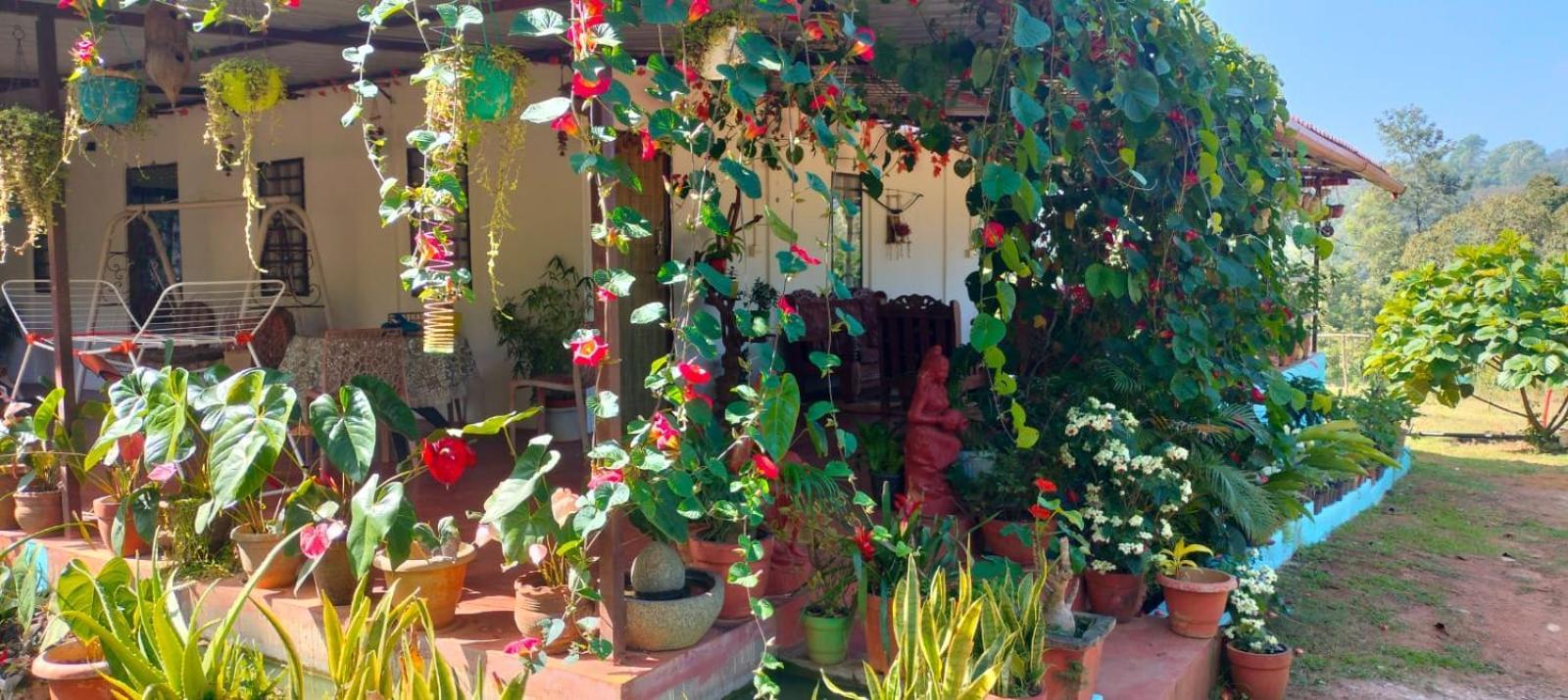 Coorg Coffee Park Farmstay Somvārpet Dış mekan fotoğraf