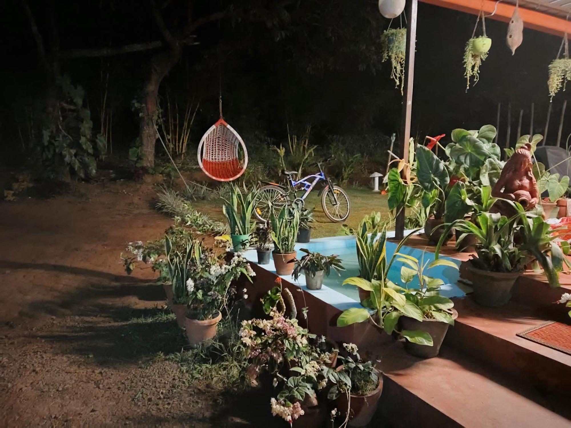 Coorg Coffee Park Farmstay Somvārpet Dış mekan fotoğraf